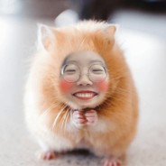 见人就跑的懦夫