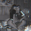 Kotik_1