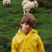 什么时候能见win