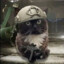 СБЭУ_Котик