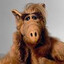 Alf