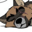 Mutt