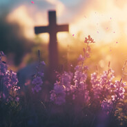 𝓼𝓮𝓪𝓼𝓮𝓪