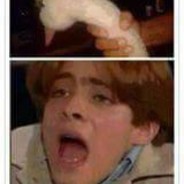 sick my duck