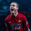 VIDIC