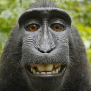 狂戳海盗那只好眼