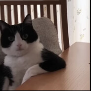 Kirk - steam id 76561199751094742