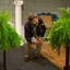 Man between two ferns