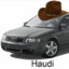 Haudi