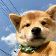 不行你就报警吧