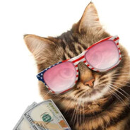 NoMoneyBitch Steam avatar