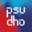 psudho