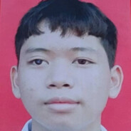 我是神里绫华的狗