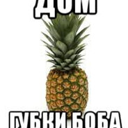 будка дома - steam id 76561199440124407