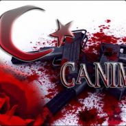 JE vend compte cz cs