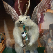 Wolpertinger