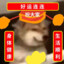 狗蛋儿