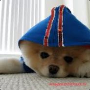Big Avatar