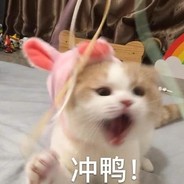 Miyano犬次