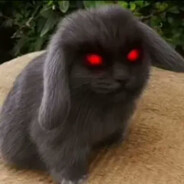 evil Cabbit