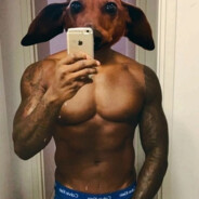 thondeer