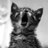 Silent!!!!!!!!!!!!!!!!!!!!!!!!!