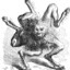 Ragnar's avatar