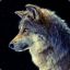 MrGrayWolf