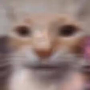 Czołgista  skins.army