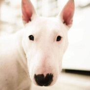 玩地精的都是蔡徐坤