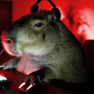 CaPyBaRa