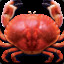 Crab Love PetPet
