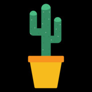 Cactus🌵