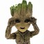 Groot