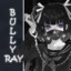 Bully Ray