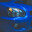 BLOBEYE03.exe