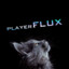 playerFLUX