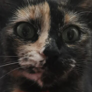 mylo's avatar