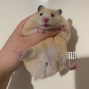 比剪刀手的小老鼠