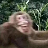 满山猴子我腚最红