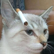 恨礼特