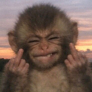 Monkicius Junior
