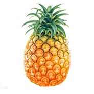 世界饱饱WorldChiao