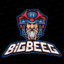 BiGBeeG