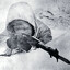 Simo Häyhä