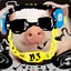 DJ_PIG