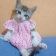 TONY, EL Q TE ROMPE EL QL0