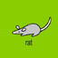 Sometimes rats want to cook