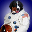 Astronaut Hond