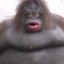 LordGrimbo